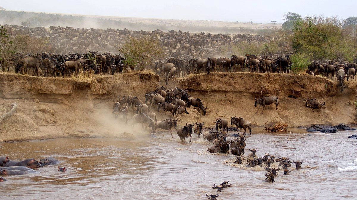 Masai-Mara-wildlife-reserve-1200x675