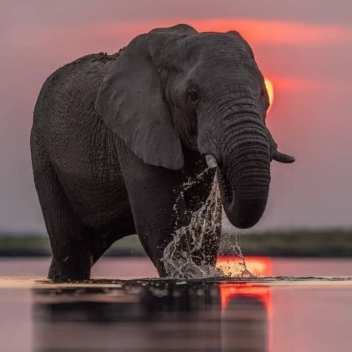 Giddi All Tours Safaris